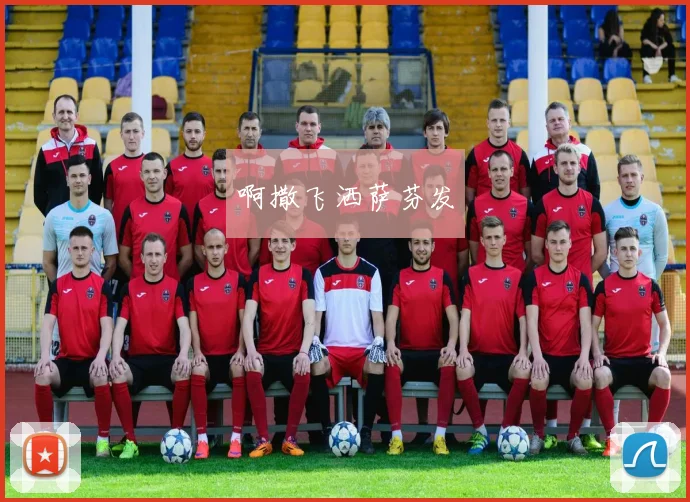 盖德穆勒欧洲杯进球与出场盘点解析对德队战术阵容影响与启示