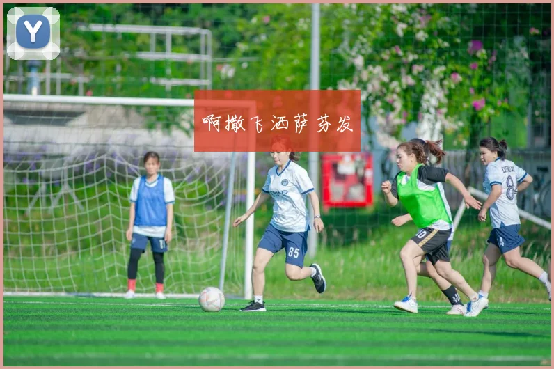 盖德穆勒欧洲杯进球与出场盘点解析对德队战术阵容影响与启示