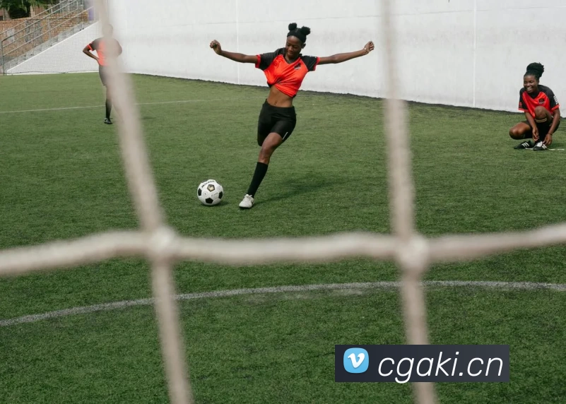 多媒体互动体验